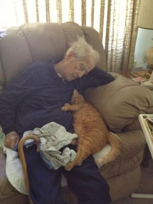 Photos Of Cats Having Way Too Much Fun (98 pics)