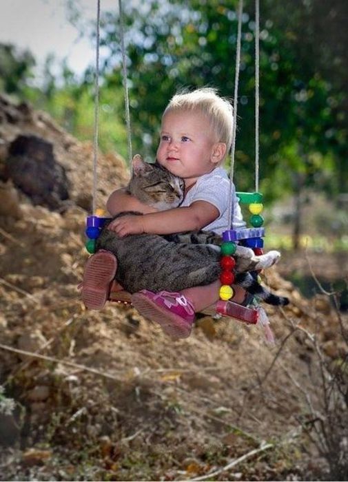 Photos Of Cats Having Way Too Much Fun (98 pics)