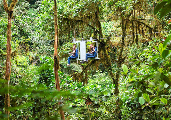 Sky Bike Gives You An Incredible Tour Of The Andean Cloud Forest (6 pics)
