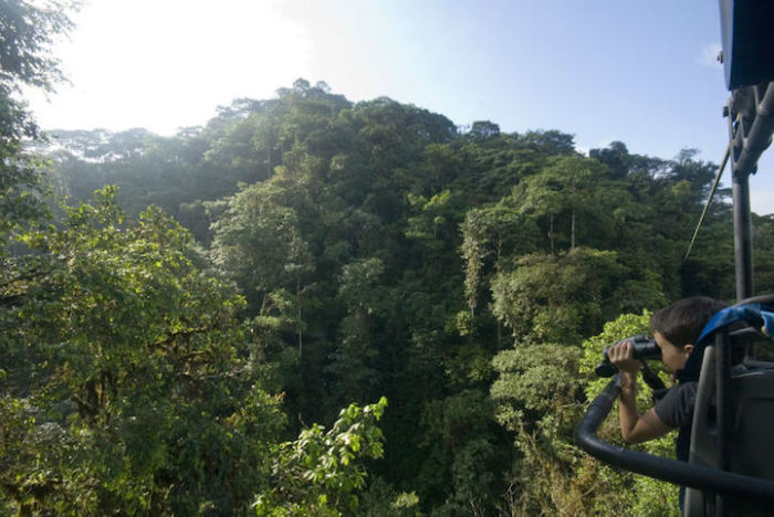 Sky Bike Gives You An Incredible Tour Of The Andean Cloud Forest (6 pics)
