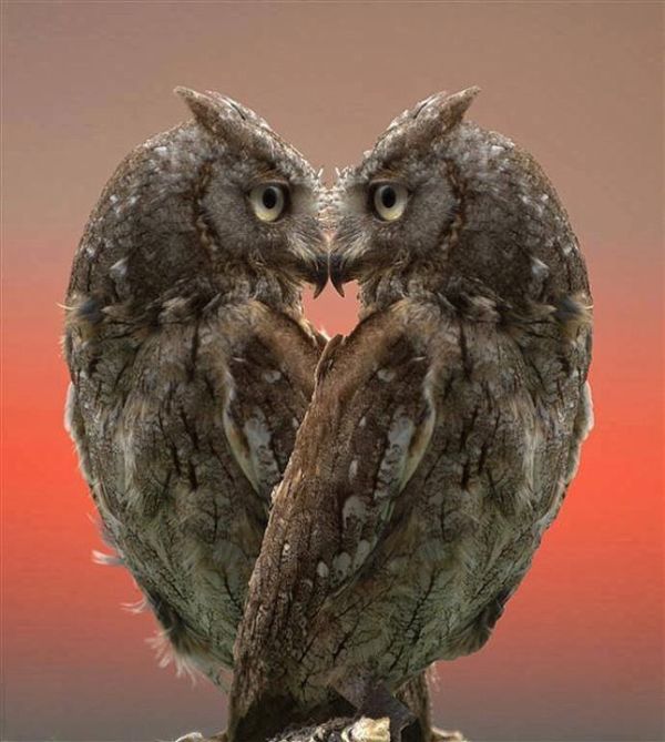 Acid Picdump (100 pics)