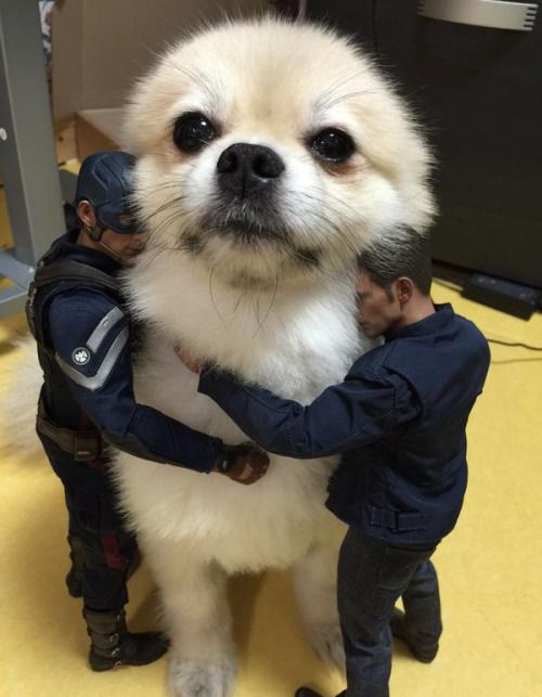 Acid Picdump (100 pics)
