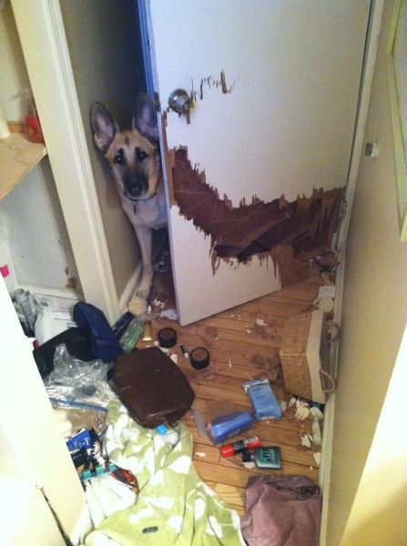 Acid Picdump (100 pics)