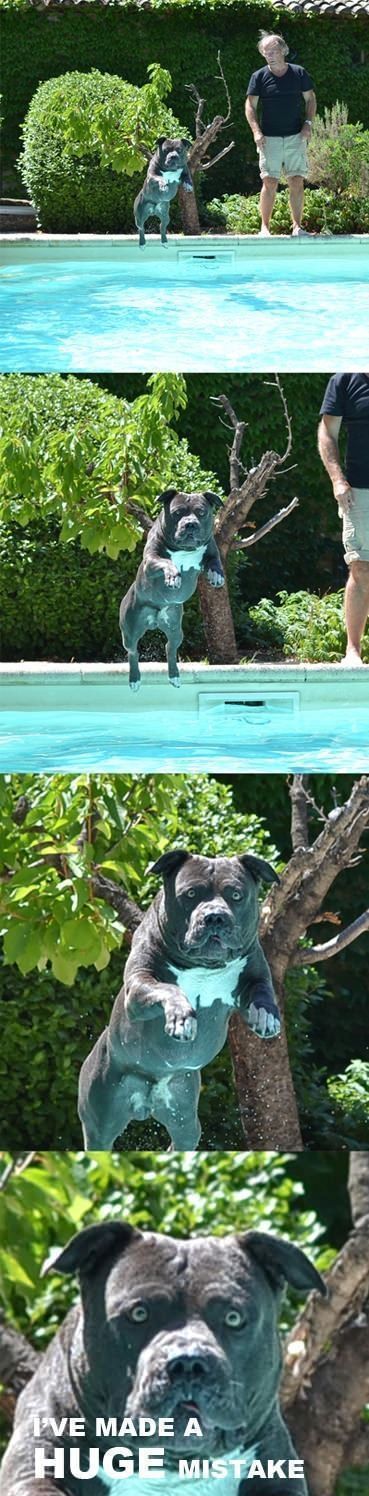 Acid Picdump (100 pics)