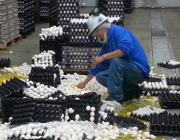 These People Are Having A Really Bad Day At Work (4 pics)