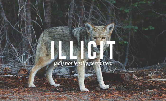 These Are The 32 Most Beautiful Words In The English