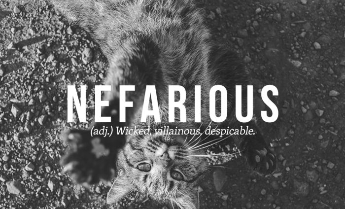 These Are The 32 Most Beautiful Words In The English Language (32 pics)