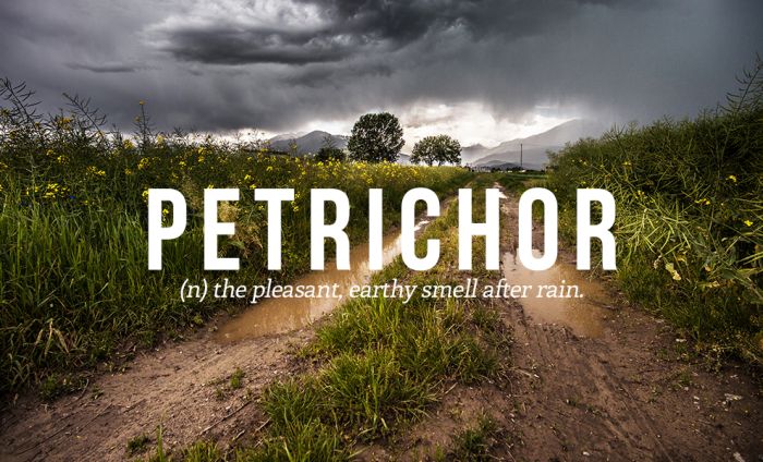 these-are-the-32-most-beautiful-words-in-the-english-language-32-pics