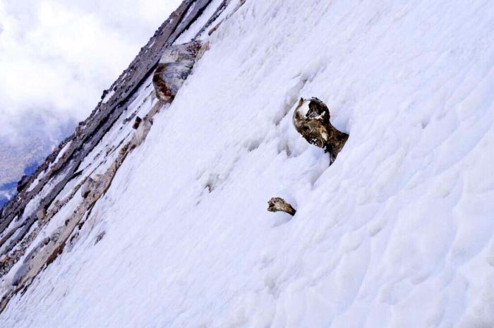 Bodies of Two Climbers Found in Mexico (10 pics)