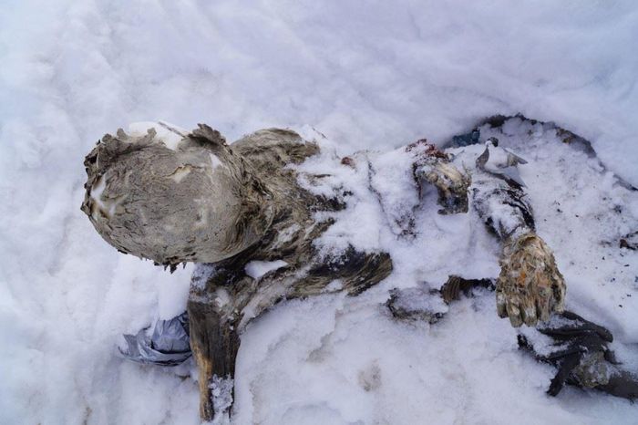 Bodies of Two Climbers Found in Mexico (10 pics)