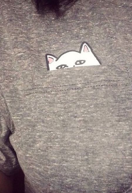 This Shirt Has A Cat In The Pocket And A Special Surprise (3 pics)