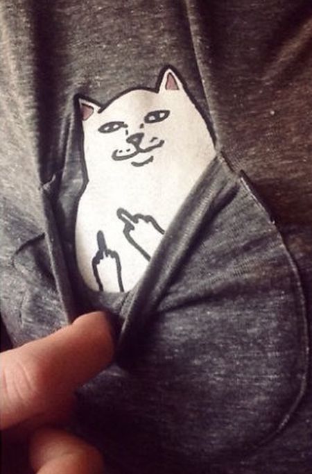 This Shirt Has A Cat In The Pocket And A Special Surprise (3 pics)