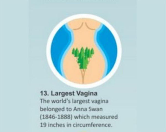 The Most Interesting Sex Related World Records In Human History (21 pics)