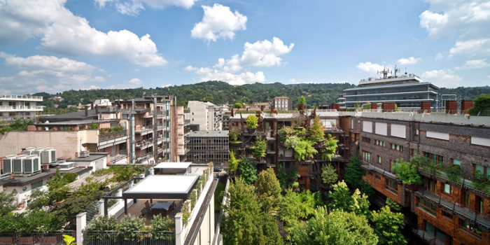 Inner City Treehouse Uses 150 Trees To Protect Residents From Noise (12 pics)