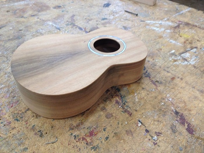DIY Guitar (16 pics)