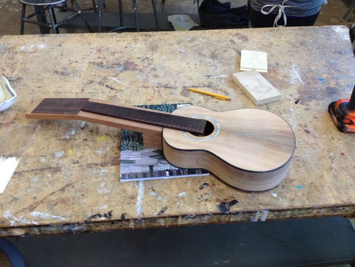 DIY Guitar (16 pics)