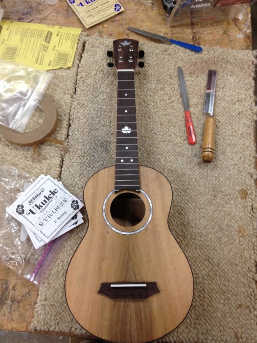 DIY Guitar (16 pics)
