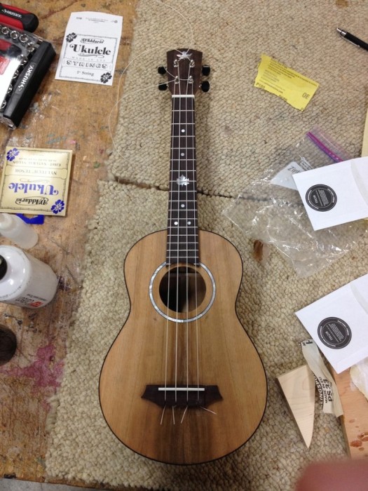 DIY Guitar (16 pics)