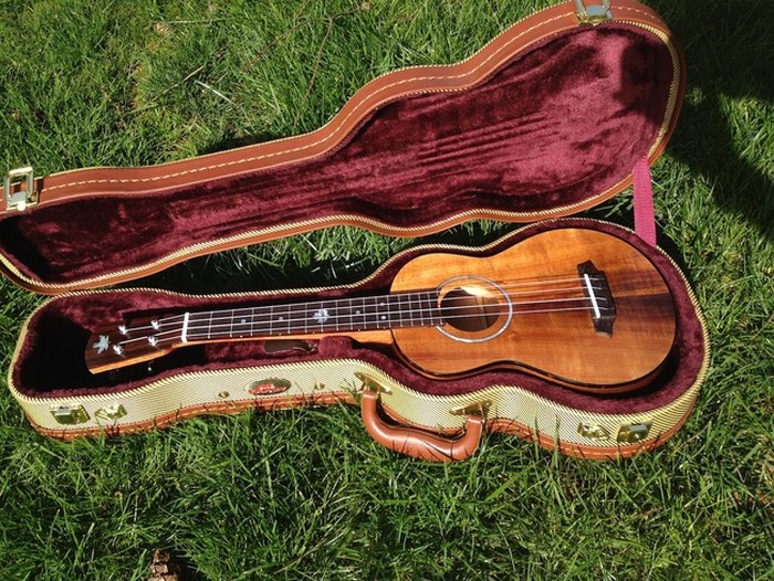 DIY Guitar (16 pics)