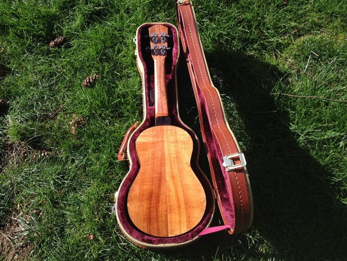 DIY Guitar (16 pics)