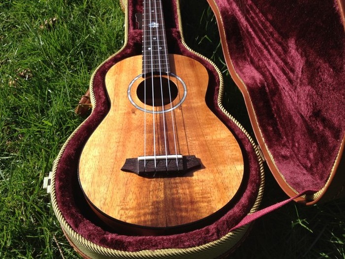 DIY Guitar (16 pics)