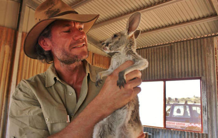 Orphaned Baby Kangaroos Find A Loving Home (16 pics)