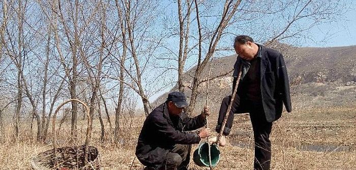 This Blind Man And His Friend With No Arms Planted 10,000 Trees In China (7 pics)