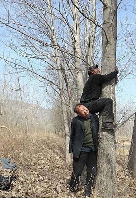 This Blind Man And His Friend With No Arms Planted 10,000 Trees In China (7 pics)