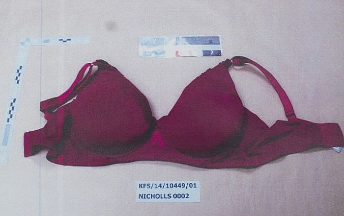 Smuggler Gets Caught With $200,000 Worth Of Cocaine In Her 46D Bra (4 pics)