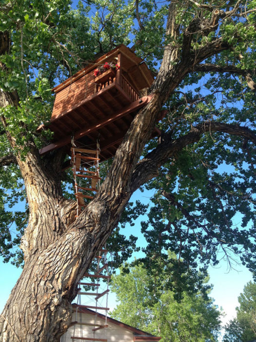 His Daughter Wanted A Tree House So He Went All Out (27 pics)