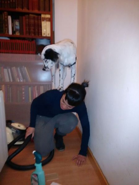 Acid Picdump (108 pics)
