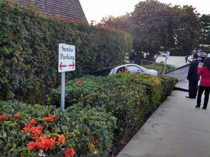 Acid Picdump (108 pics)