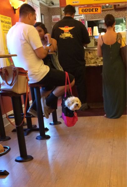 Acid Picdump (108 pics)
