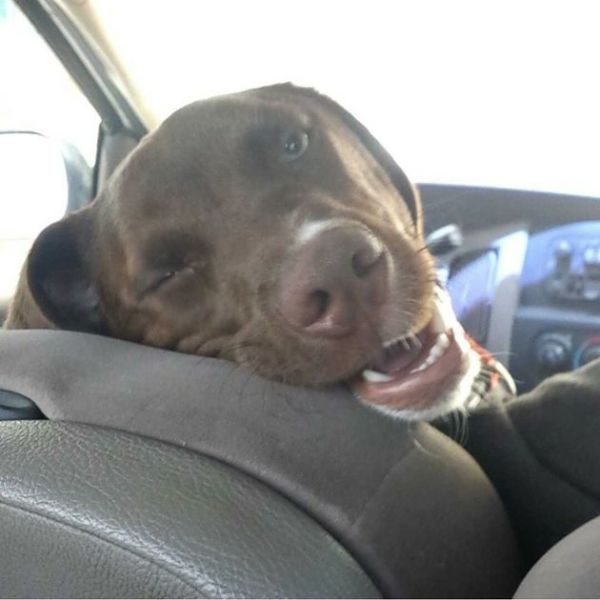 Acid Picdump (108 pics)