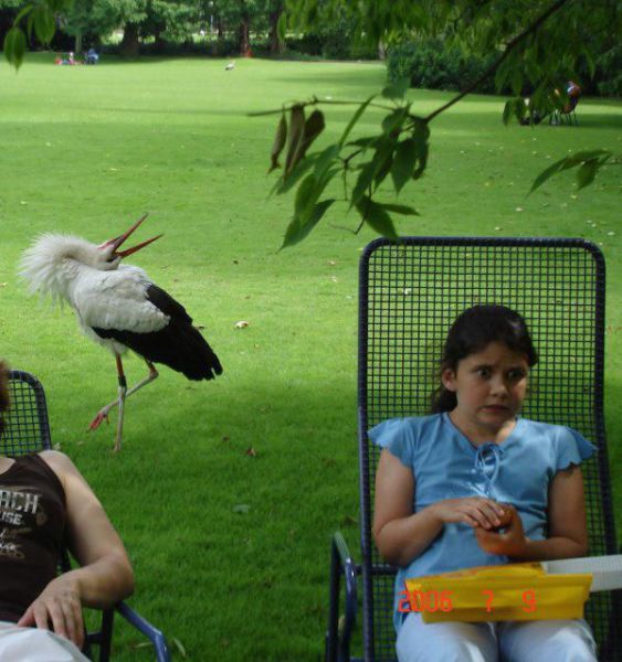 Acid Picdump (108 pics)