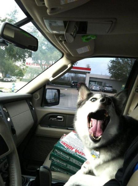 Acid Picdump (108 pics)