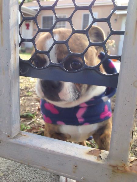 Acid Picdump (108 pics)