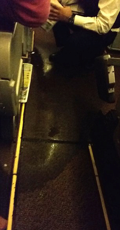 Plane Gets Flooded With Urine After The Toilets Overflow (6 pics)