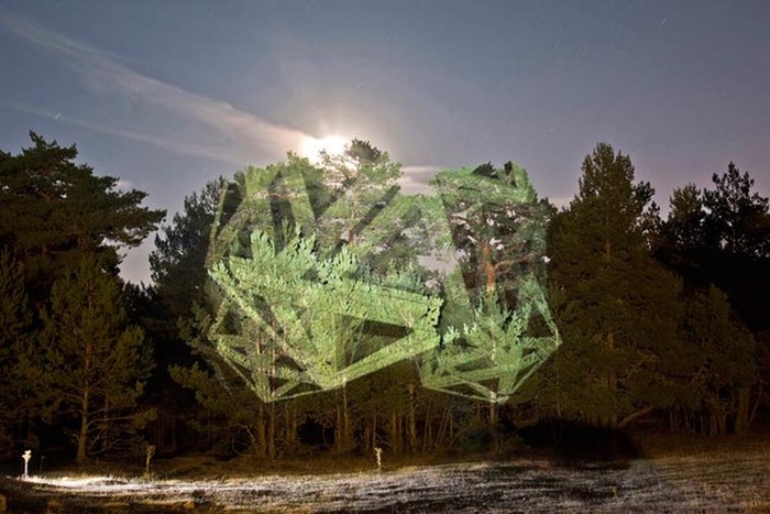 Javier Riera Is Turning Trees Into Surreal Art (16 pics)