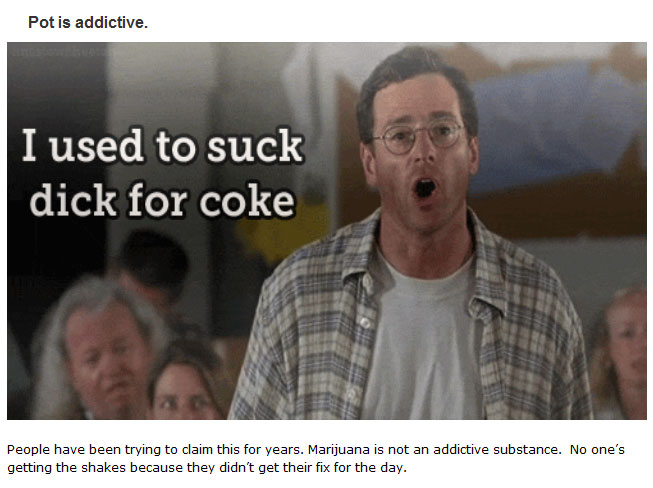 Myths People Believe About Weed That Just Aren't True (14 pics)