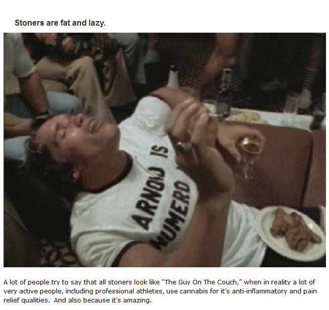 Myths People Believe About Weed That Just Aren't True (14 pics)