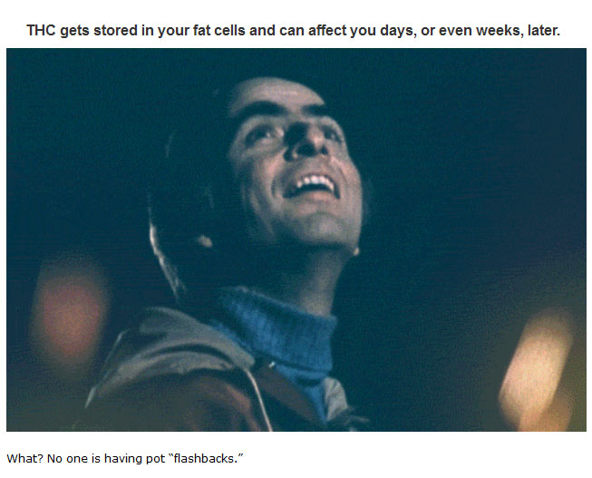 Myths People Believe About Weed That Just Aren't True (14 pics)