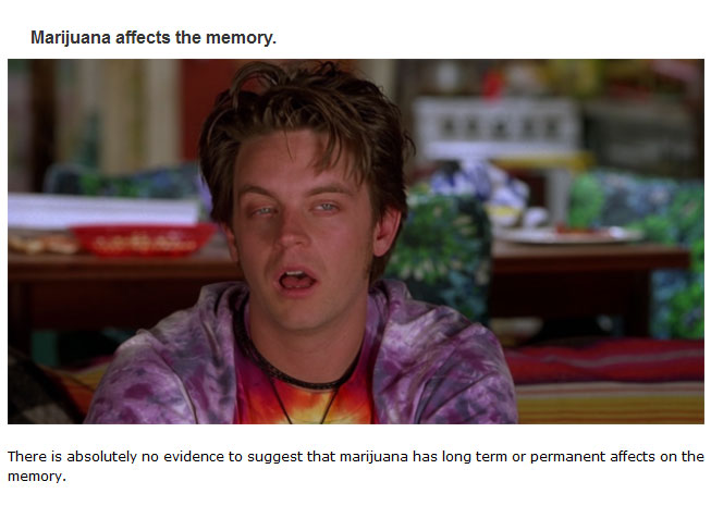 Myths People Believe About Weed That Just Aren't True (14 pics)