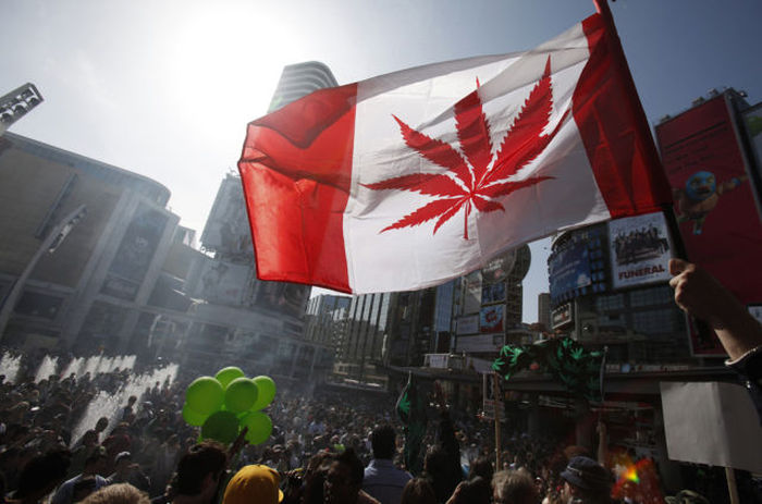 Facts About Marijuana (24 pics)