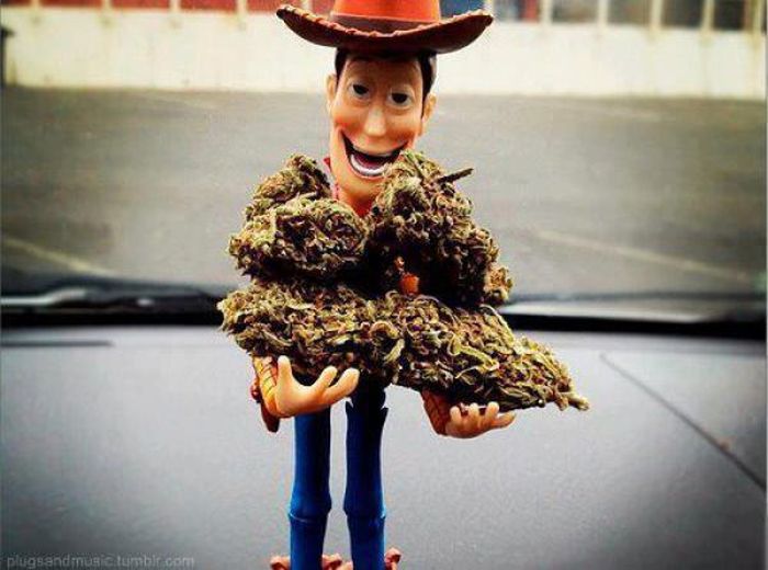 Facts About Marijuana (24 pics)