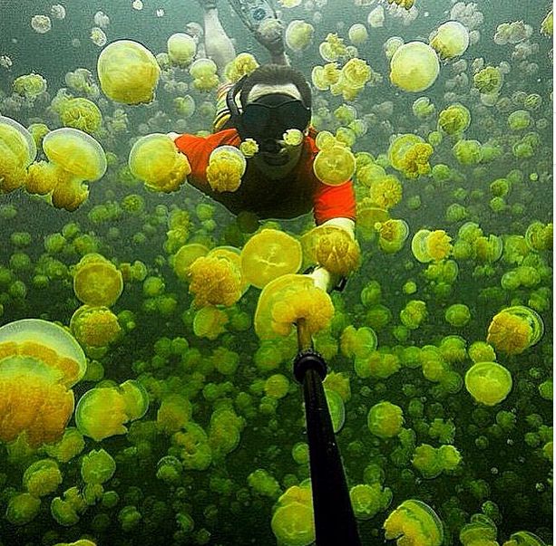 Selfies Taken In Extreme Environments (35 pics)