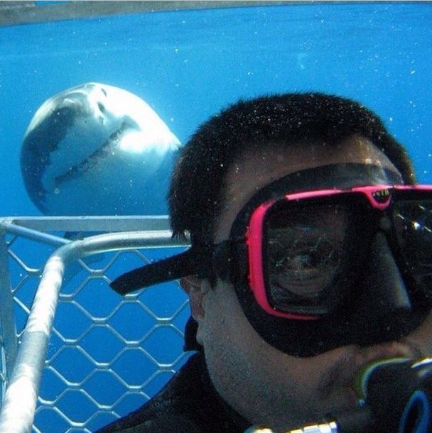 Selfies Taken In Extreme Environments (35 pics)