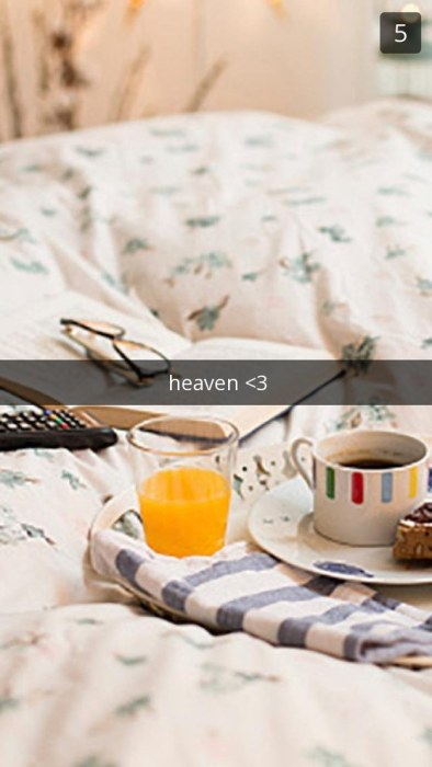 Snapchats That Only Book Lovers Will Understand (14 pics)