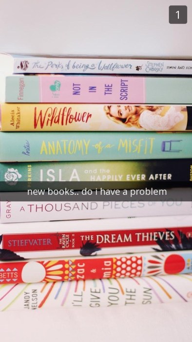 Snapchats That Only Book Lovers Will Understand (14 pics)