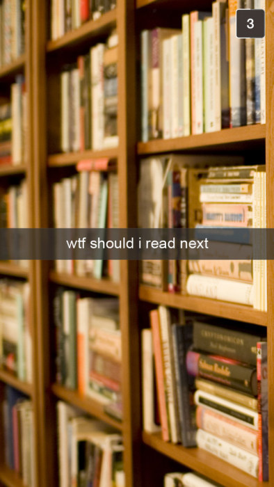 Snapchats That Only Book Lovers Will Understand (14 pics)